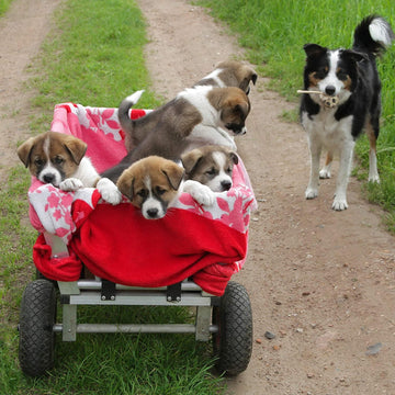 4 x 10" Pneumatic Truck Trolley Puncture Proof Tubeless Wheel Barrow Foam Tyre - Live4gadgets